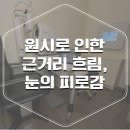 리:본 안경 이미지