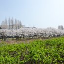 탄동천2 이미지