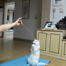 반해써