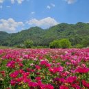 화우농장 이미지