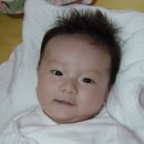 경준 카카오 검색결과