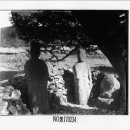 함안 대산리 석조삼존상 이미지