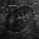 다솜동물메디컬센터 금정점 이미지