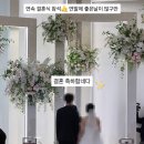 시청역 | 오펠리스 웨딩홀 하객 후기 시청역 오펠리스 웨딩홀 뷔페 진짜 밥펠리스