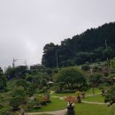 카페춘화의정원 이미지