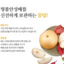 해들향 네이버블로그