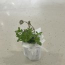 안금농장 이미지