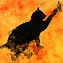 나만 없어 고양이 이미지