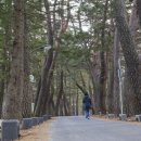 속리산보건지소 이미지