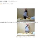 죠이컴퓨터 이미지