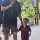 엘레펀트 | 아기랑 방콕 여행 추천｜방콕 엘리펀트파크 후기 (코끼리 체험 솔직 리뷰)