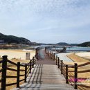 용산호호