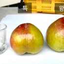 군자농장 이미지