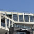 울산 중구 샤브샤브 맛집 성안동 스구식탁 가족식사 1인 혼밥