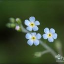 1758 이미지