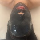 방당쥬 이미지