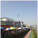 중앙종묘농약사 이미지