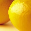 하얀피부 이미지