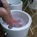 카파이풋 - 제주시 백포북길 23 | 카파이풋