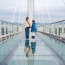 NR-24[영서로]-상-264 | 겨울 춘천 가볼만한곳 5곳 : 춘천 애니메이션 박물관 , 소양강 스카이워크 외