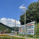칠충로81 이미지