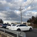 치명농장 | 제주 애월 귤따기체험 "탐나는농장" 아이와함께