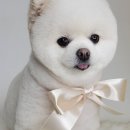 산호동457 이미지