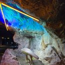 화암 | 정선 화암동굴 솔직 후기｜생각보다 계단 많아요… 아이·어르신은 주의!