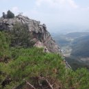 설옥1구 Daum카페
