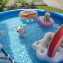 갈곡스테이 이미지