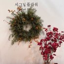 페이퍼플라워 힐링 클래스 | 수원 호매실 꽃집 시그널플라워 크리스마스 리스 만들기 원데이 클래스 후기 / 리스만들기 체험