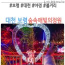 숲속애애플트리 | 대천 보령 숲속애빛의정원 통나무 마을 입장료 할인