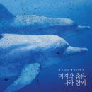 재주소년 이미지
