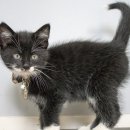 공인중개사(민법) 이미지