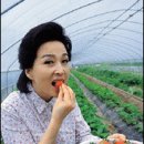 자연생활건강