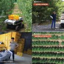 인식농장 이미지