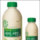 새싹의 아침 이미지