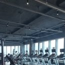 머슬피플 이미지