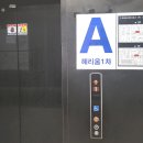 젤리펫살롱with아로마