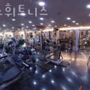 웰리스휘트니스 이미지