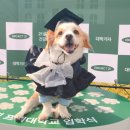 UR(오산시)-[오산천로]-상-10 | NoRiDangSan Night 👻