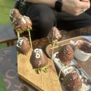 더드림마트 | [남양주아이와가볼만한곳] 더드림딸기체험농장 후기! 딸기체험이 아이에게 주는 교육적 효과 4가지