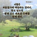 1구역[9/1(월)천원궁천일성전 축복식승리위한 호명기도회(3충소성전) 및 제1118회 천심원특별철야정성 천승교회 (2층세미너실) 이미지