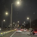 알파돔세탁 | 3월 5주차 일상(feat.임신30-31주, 회사 마지막주! 출산휴가일기)