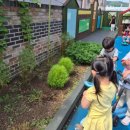 보라어린이집(실내) 이미지