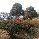 변산초등학교 이미지