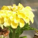 구월1동-17 이미지