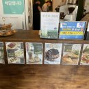 강스퀴진 이미지