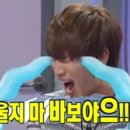 꿈나무 열대어 이미지