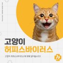 녹양돌봄동물병원 이미지